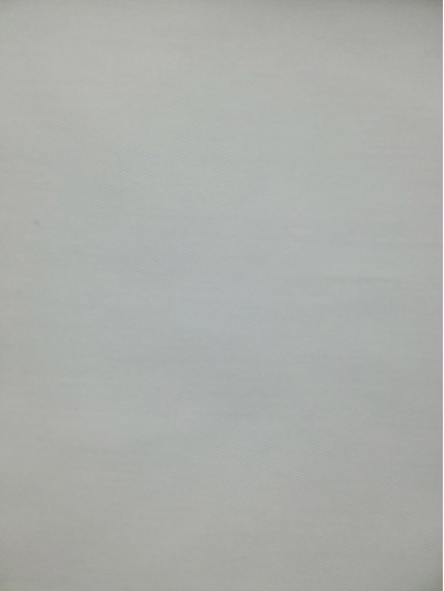 DZ-YIMN  T/C 80/20  21*21 108*58 正面照